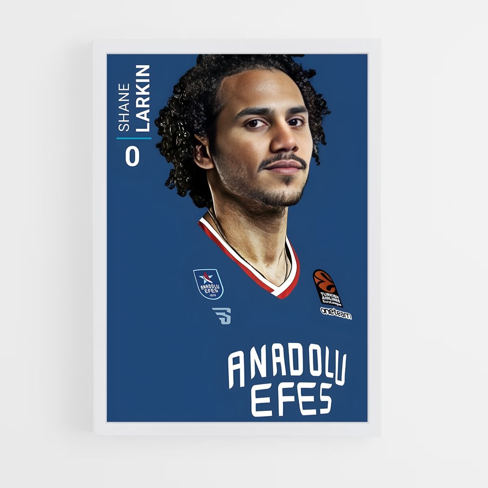 Poster Hairy Dunk – affiche Basketball (vue 3)